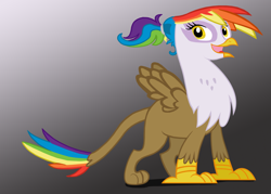 Size: 1600x1145 | Tagged: safe, artist:harukohoshiko, derpibooru import, oc, oc only, oc:rainbow feather, griffon, interspecies offspring, magical lesbian spawn, offspring, parent:gilda, parent:rainbow dash, parents:gildash, solo