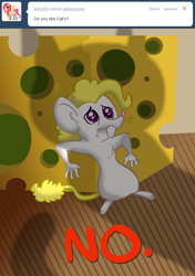 Size: 899x1280 | Tagged: safe, artist:willdrawforfood1, derpibooru import, surprise, cat, mouse, g1, ask, ask surprise, cheese, g1 to g4, generation leap, mousified, species swap, tumblr