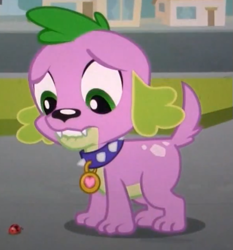 Size: 495x532 | Tagged: safe, derpibooru import, screencap, spike, dog, ladybug, equestria girls, equestria girls (movie), solo, spike the dog