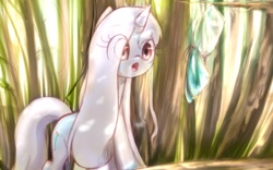 Size: 1280x800 | Tagged: safe, artist:celerypony, derpibooru import, oc, oc only, oc:celery, butterfly, pony, unicorn, :o, cute, eyes on the prize, forest, ocbetes, solo, wide eyes