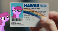 Size: 800x429 | Tagged: safe, derpibooru import, edit, berry punch, berryshine, fake id, hawaii, mclovin, superbad