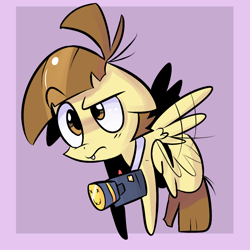 Size: 1000x1000 | Tagged: safe, artist:spanish-scoot, featherweight, pegasus, camera, colt, male, solo