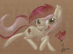 Size: 1280x948 | Tagged: safe, artist:getchanoodlewet, derpibooru import, roseluck, looking at you, mouth hold, rose, solo, traditional art