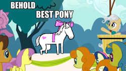 Size: 960x540 | Tagged: safe, derpibooru import, edit, edited screencap, screencap, bon bon, caramel, carrot top, golden harvest, lemon hearts, mayor mare, sweetie drops, the last roundup, behold, best pony, forced meme, homestuck, image macro, maplehoof, meme