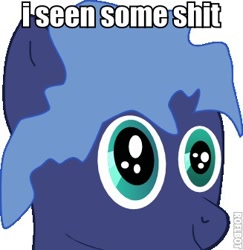 Size: 327x336 | Tagged: artist needed, safe, pony, image macro, solo, vulgar, wtf