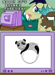 Size: 373x510 | Tagged: safe, derpibooru import, drama, exploitable meme, meme, obligatory pony, panda ring, ruined forever trio, tv meme, visual pun