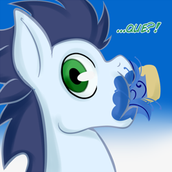 Size: 900x900 | Tagged: safe, artist:glasdale, soarin', pegasus, pony, blue coat, blue mane, blue tail, male, soarin-responde, solo, spanish, stallion, wings