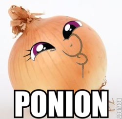 Size: 300x292 | Tagged: safe, edit, dashface, onion, pun, so awesome