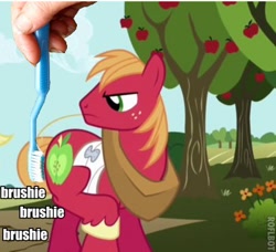 Size: 394x360 | Tagged: safe, edit, edited screencap, screencap, big macintosh, earth pony, pony, applebuck season, brushie, brushie brushie, male, stallion, toothbrush