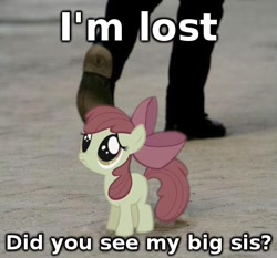 Size: 494x460 | Tagged: safe, apple bloom, image macro, lost, ponies in real life, sad