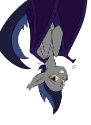 Size: 591x809 | Tagged: safe, derpibooru import, oc, oc only, oc:echo, bat pony, pony, behaving like a bat, exploitable, solo, upside down