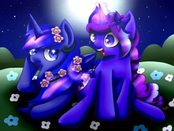 Size: 1024x768 | Tagged: safe, artist:rainbowjune, derpibooru import, oc, oc only, pony, unicorn, night