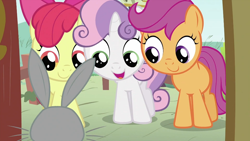 Size: 994x559 | Tagged: safe, screencap, angel bunny, apple bloom, scootaloo, sweetie belle, ponyville confidential, cutie mark crusaders, gabby gums