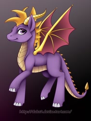 Size: 600x800 | Tagged: safe, artist:pocki07, derpibooru import, dracony, ponified, solo, spyro the dragon