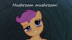Size: 1063x593 | Tagged: safe, derpibooru import, scootaloo, sleepless in ponyville, badger badger badger, droopy, high, insane pony thread, mushroom, shrooms, solo, stoned, tired, tumblr