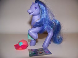 Size: 500x375 | Tagged: safe, pony, g2, clever clover, comb, hat, irl, male, photo, stallion, toy