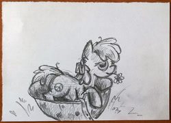 Size: 640x462 | Tagged: safe, artist:agm, derpibooru import, earth pony, pony, dog tags, flower, helmet, monochrome, sketch, solo