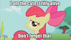 Size: 853x480 | Tagged: safe, derpibooru import, apple bloom, cute, cutest pony alive, image macro, solo