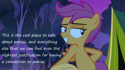 Size: 1062x593 | Tagged: safe, derpibooru import, scootaloo, sleepless in ponyville, cool, grin, insane pony thread, solo, tumblr