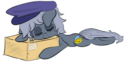 Size: 1280x630 | Tagged: safe, artist:lyralicious, derpibooru import, oc, oc only, oc:sleepyhead, hat, simple background, sleeping, solo, transparent background