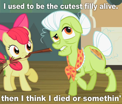 Size: 700x600 | Tagged: safe, derpibooru import, apple bloom, granny smith, cutest pony alive, meme