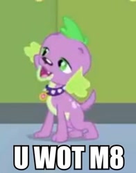 Size: 356x453 | Tagged: safe, derpibooru import, edit, edited screencap, screencap, spike, dog, equestria girls, equestria girls (movie), cropped, image macro, reaction image, solo, spike the dog, u wot m8