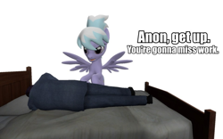 Size: 960x600 | Tagged: safe, artist:pinkie diane roosevelt phd, derpibooru import, cloudchaser, oc, oc:anon, 3d, bed, gmod, sleeping