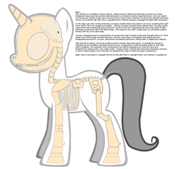 Size: 1461x1395 | Tagged: safe, alicorn, anatomy, simple background, skeleton, text