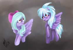 Size: 1024x704 | Tagged: safe, artist:vasilisavishnevskaya, derpibooru import, cloudchaser, flitter, pegasus, pony, duo, duo female, female, mare, wings