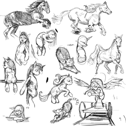 Size: 2000x2000 | Tagged: safe, artist:kvernikovskiy, derpibooru import, cat, horse, pony, bipedal, sketch dump