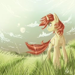 Size: 894x894 | Tagged: safe, artist:gonedreamer, derpibooru import, oc, oc only, oc:amber drop, pony, unicorn, cloud, cloudy, grass, looking back, sky, smiling, solo, standing, windswept mane