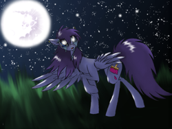 Size: 2560x1920 | Tagged: safe, artist:tenebristayga, derpibooru import, oc, oc only, pegasus, pony, chest fluff, crying, ear fluff, moon, moonlight, night, solo