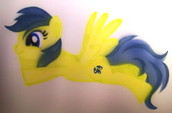 Size: 1024x673 | Tagged: safe, artist:batosan, derpibooru import, sunshower raindrops, pegasus, pony, female, mare, solo, yellow coat