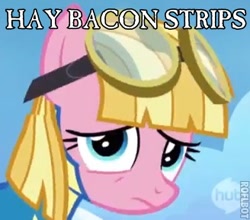 Size: 328x288 | Tagged: safe, derpibooru import, meadow flower, epic pie time, hay bacon strips, image macro, solo