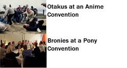 Size: 960x519 | Tagged: safe, barely pony related, brony, comparison, convention, otaku, riot