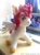 Size: 800x1083 | Tagged: artist needed, safe, derpibooru import, pegasus, pony, irl, pegasus kouga, photo, plushie, ponified, saint seiya, saint seiya omega, solo