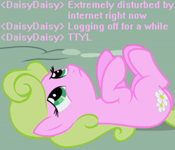 Size: 700x600 | Tagged: safe, daisy, flower wishes, earth pony, pony, caption, chat, disturbed, existential daisy, female, image macro, internet, mare, on back