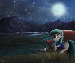 Size: 2000x1683 | Tagged: safe, artist:mmtob3, derpibooru import, oc, oc only, moon, night, scenery, solo, stargazing