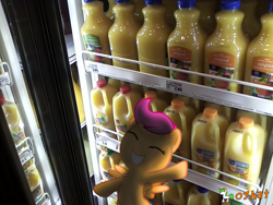 Size: 1024x768 | Tagged: safe, artist:ojhat, scootaloo, irl, orange juice, photo, ponies in real life, supermarket