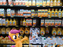 Size: 900x675 | Tagged: safe, artist:ojhat, scootaloo, irl, orange juice, photo, ponies in real life, supermarket
