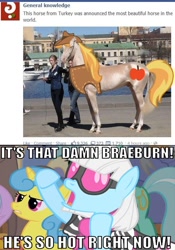 Size: 500x716 | Tagged: safe, derpibooru import, edit, braeburn, photo finish, beautiful horse, irl, meme, stupid sexy braeburn, zoolander