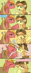 Size: 319x743 | Tagged: safe, artist:pasikon, derpibooru import, big macintosh, braeburn, earth pony, pony, blushing, braemac, comic, gay, incest, kissing, male, shipping, stallion