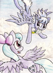 Size: 1666x2291 | Tagged: safe, artist:punk-pegasus, derpibooru import, cloudchaser, flitter, accepted, traditional art