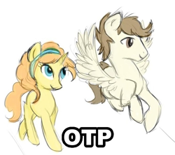 Size: 677x600 | Tagged: safe, artist:jbrid, pound cake, pumpkin cake, pegasus, pony, unicorn, cakecest, caketwincest, female, image macro, incest, male, older, otp, shipping, straight, twincest, twins