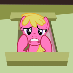 Size: 600x600 | Tagged: safe, derpibooru import, screencap, cherry berry, the mysterious mare do well, cropped, frown, solo