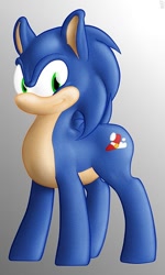 Size: 300x500 | Tagged: safe, artist:mot, derpibooru import, ponified, solo, sonic the hedgehog, sonic the hedgehog (series)