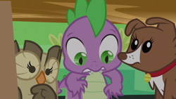 Size: 1280x720 | Tagged: safe, screencap, owlowiscious, spike, winona, dragon, just for sidekicks, out of context, reaction image