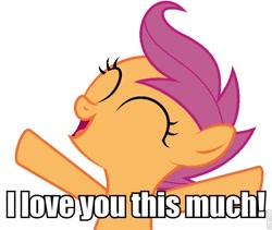 Size: 692x584 | Tagged: safe, scootaloo, pegasus, pony, bronybait, cute, female, image macro, solo