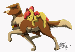 Size: 890x621 | Tagged: safe, artist:xashleymx, apple bloom, winona, riding, size difference, sleeping