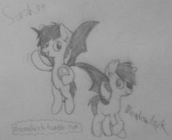 Size: 1176x960 | Tagged: safe, artist:zesandvich, oc, oc only, oc:frolicsome meadowlark, oc:sunshine smiles (egophiliac), bat pony, pony, 30 minute art challenge, grayscale, monochrome, moonstuck, pencil drawing, traditional art